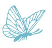 Clear Haven Icon