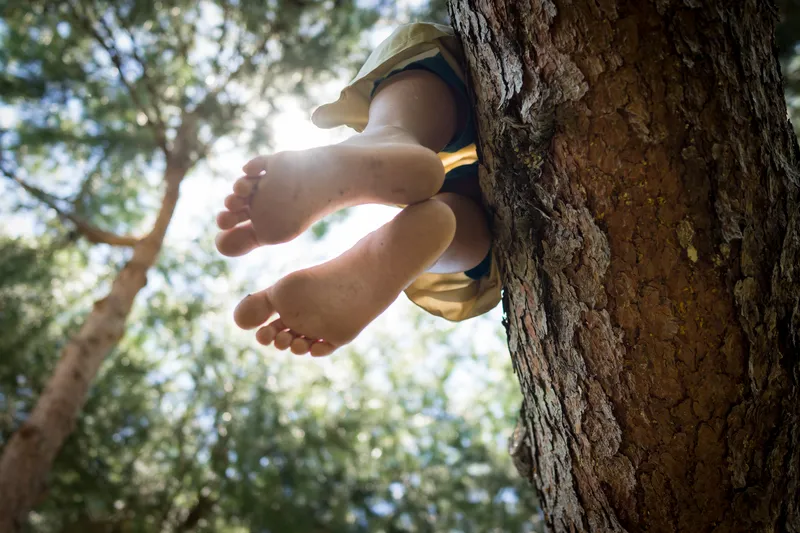 Person relaxing against a tree in a peaceful outdoor setting