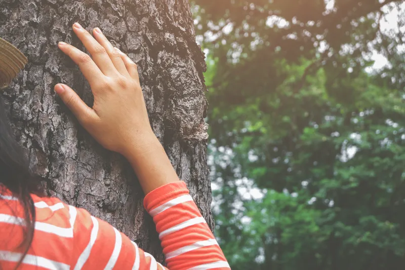 Person touching the trunk of a tree in a peaceful woodland setting