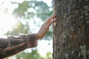 Hand reaching out to touch a tree, symbolising support, connection, and self-compassion
